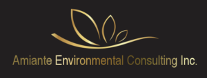 Amiante Environment Consulting